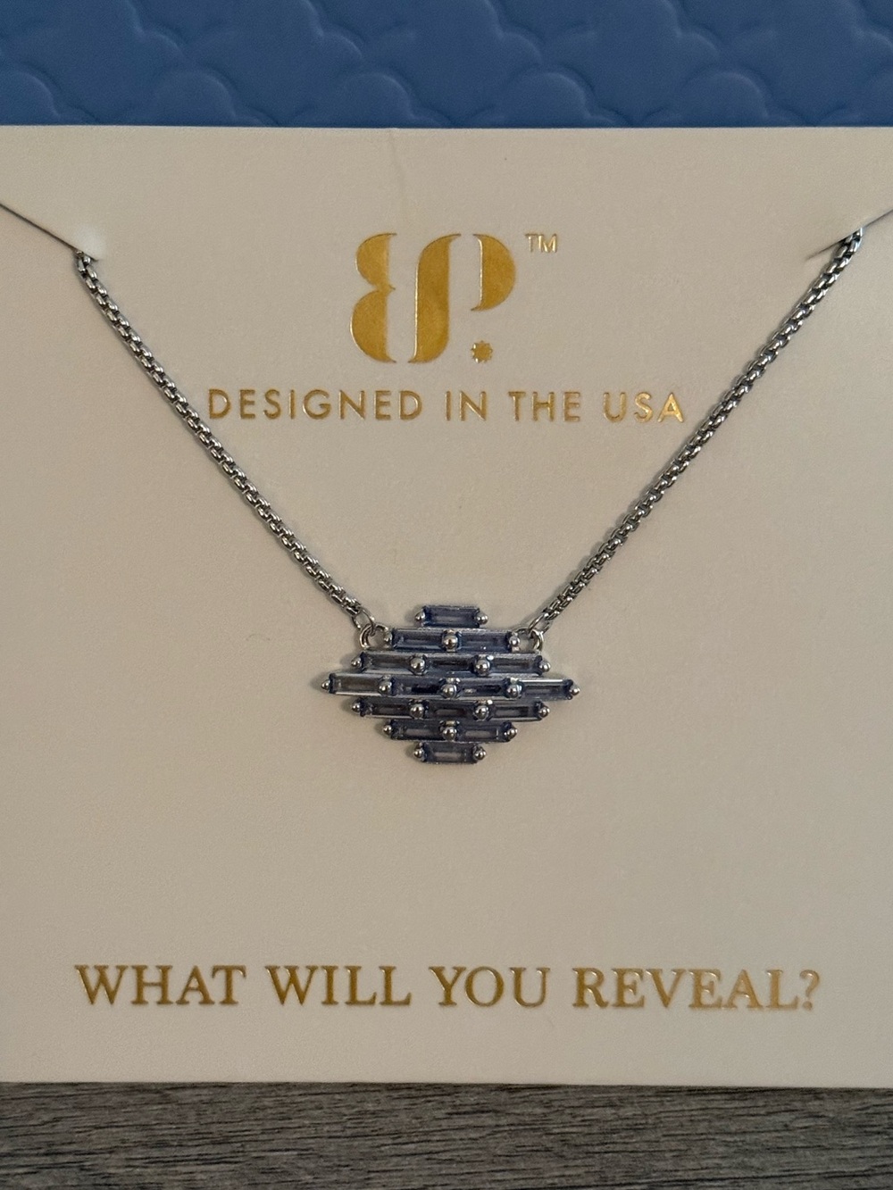 Bomb Party Sterling Club Necklace “The Details Matter” Brand New!
